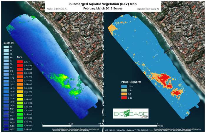 Submerged Aquatic Vegetation (SAV) Map